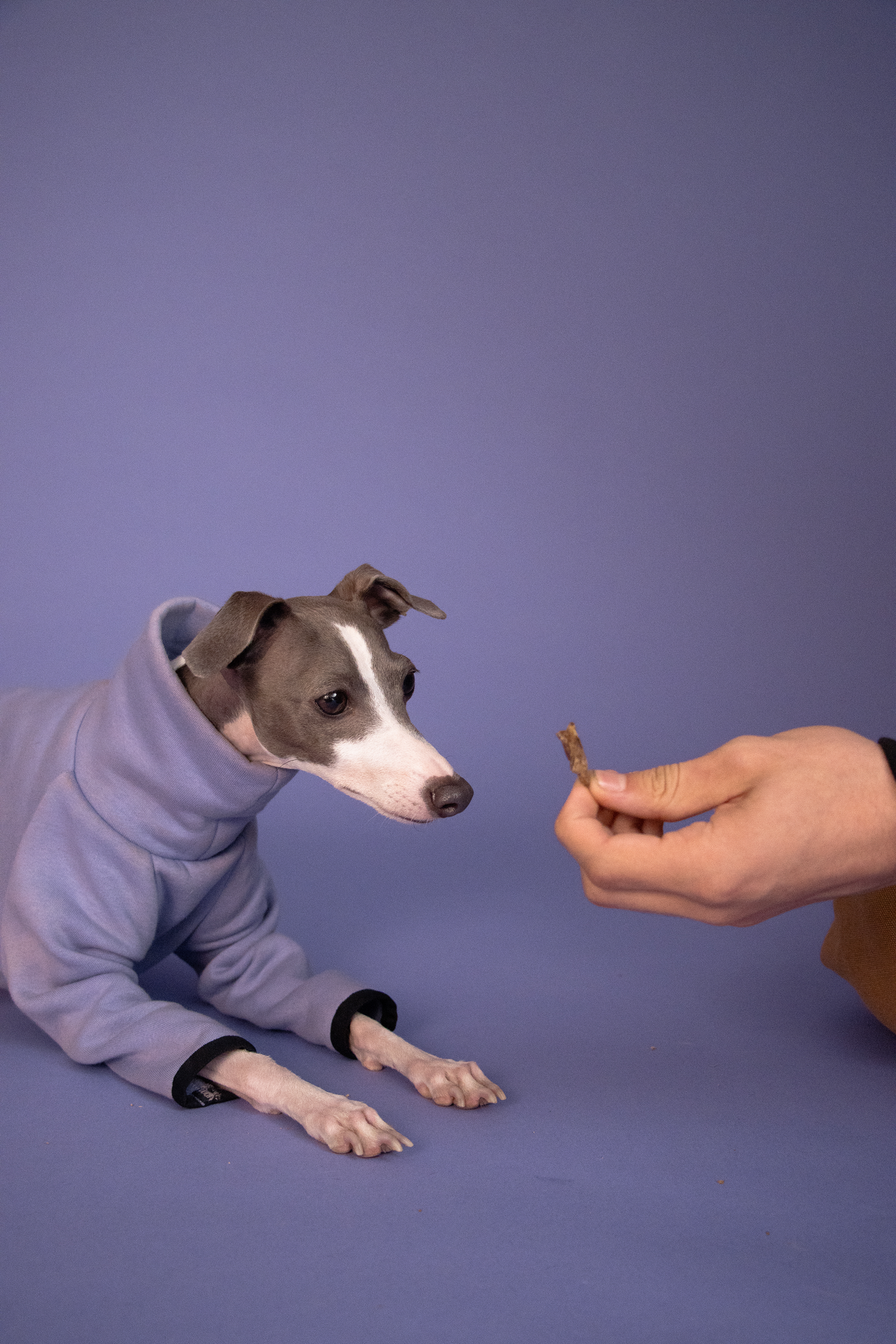 Beeb’s Pocket Tube